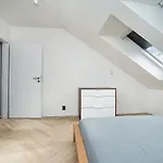 Big 4-bedroom flat, terrace with great Vítkov view
